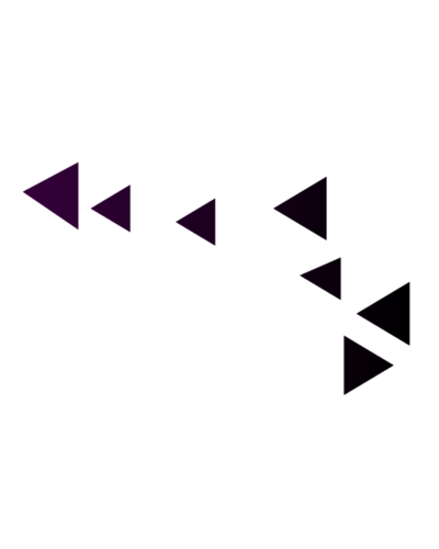 French Darts Fest Fdf Flechettes Violette
