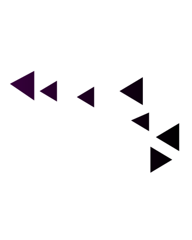 French Darts Fest Fdf Flechettes Violette